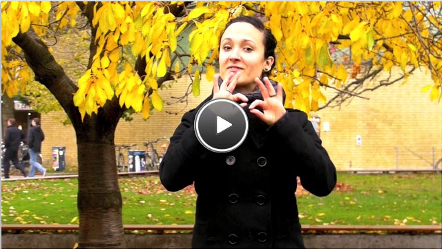 Video-Vorschau/ preview of the video