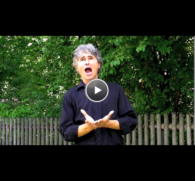 Video-Vorschau/ preview of the video