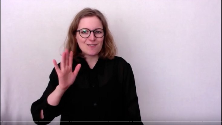startbild zum Video /preview of the video